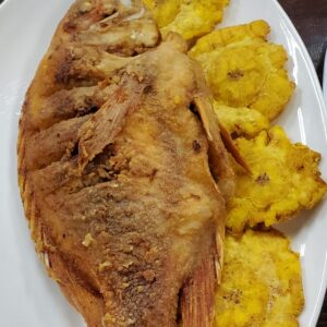 Tilapia El Establo